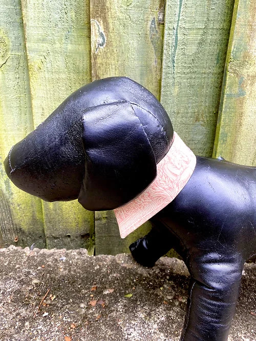 Dandy Shirt Dog Collar by Red & Ginger