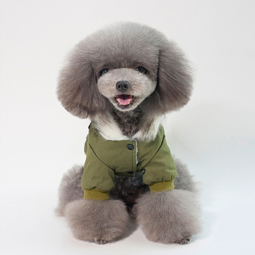 Green Trench Dog Coat by Doggy Doo Little