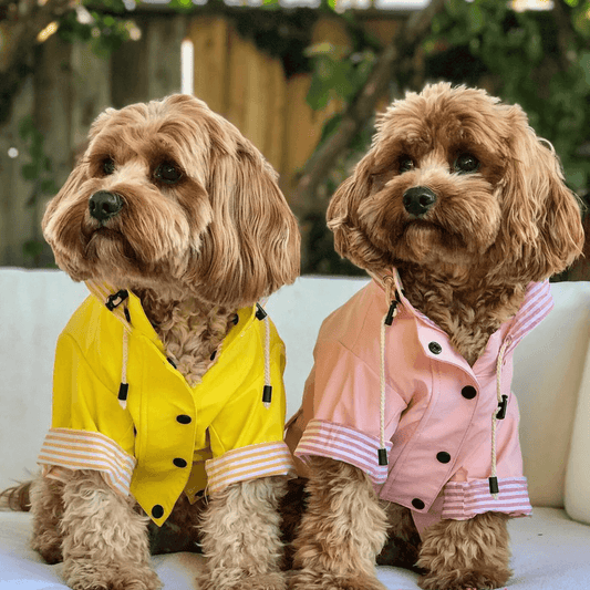 Sloane Waterproof Dog Rain Jacket (Lemon) – by The Paw Co.