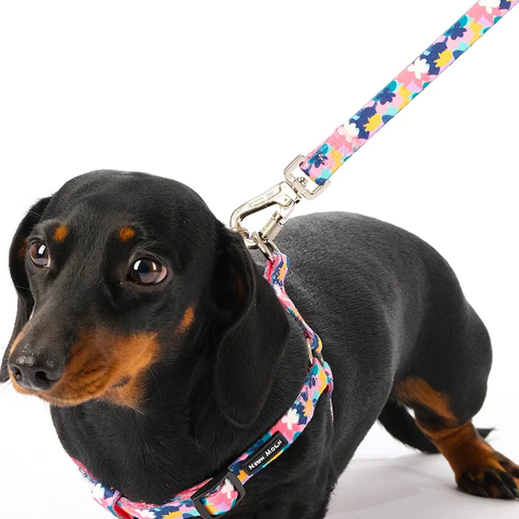 The Luna Dog Lead - by Neon Moon Pet Boutique