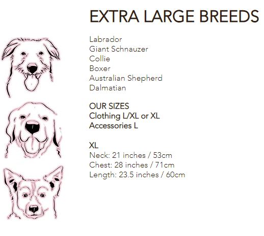 Liberty Shirt Dog Collar by Red & Ginger